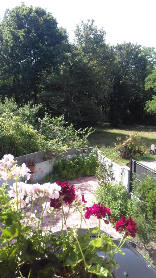 L'Oree Du Bois Saint-Vivien-de-Medoc ภายนอก รูปภาพ